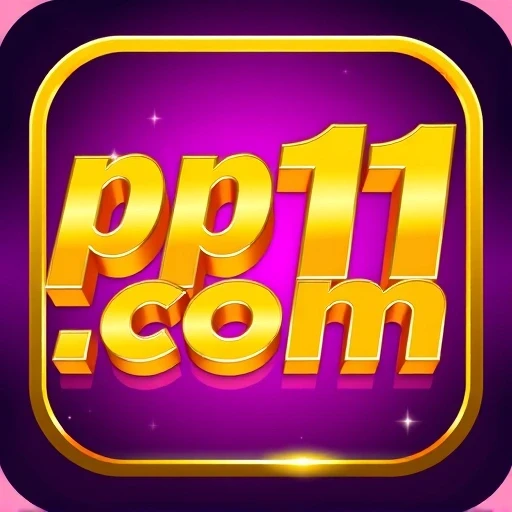 pp11.com